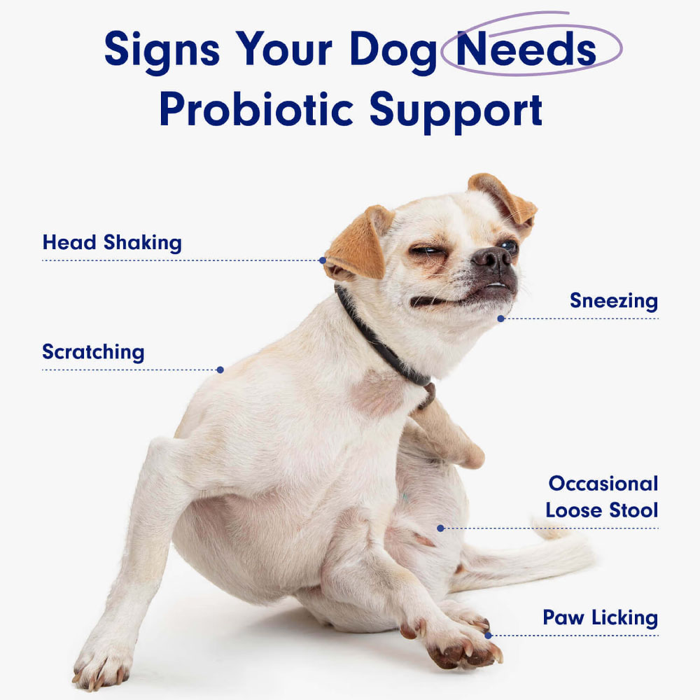 Probiotics for Dog, Digestive  - Digestive Enzyme Blend บทวิจารณ์และราคา