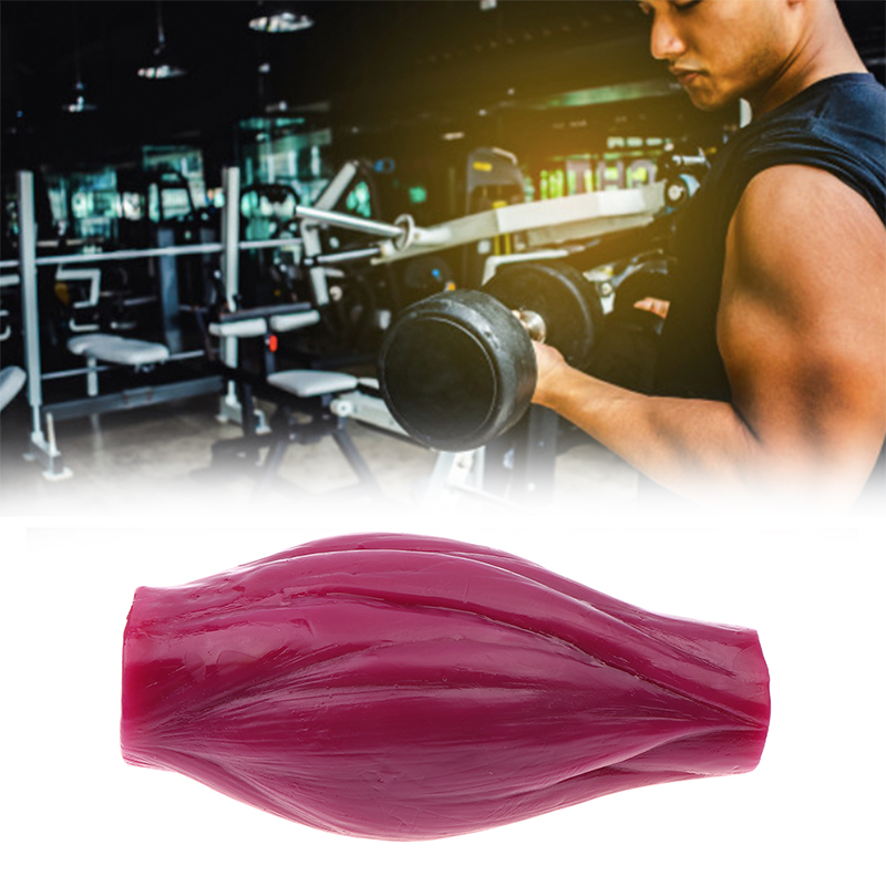 1lb Muscle to Keep Fit & Weigh - Nutrition For Fitness Course บทวิจารณ์และราคา